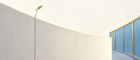 弧边露出蓝栏