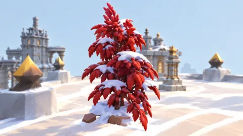 雪覆叶簇的锥冠