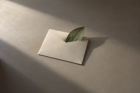 叶片的回信